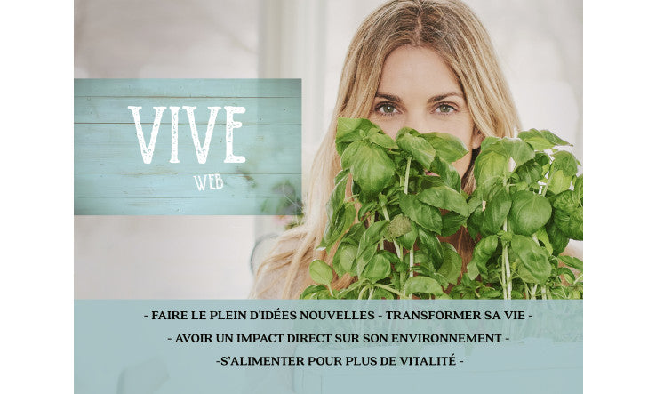 Vive web - Première saison