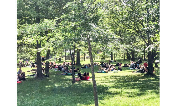 Faire un câlin à un arbre?
