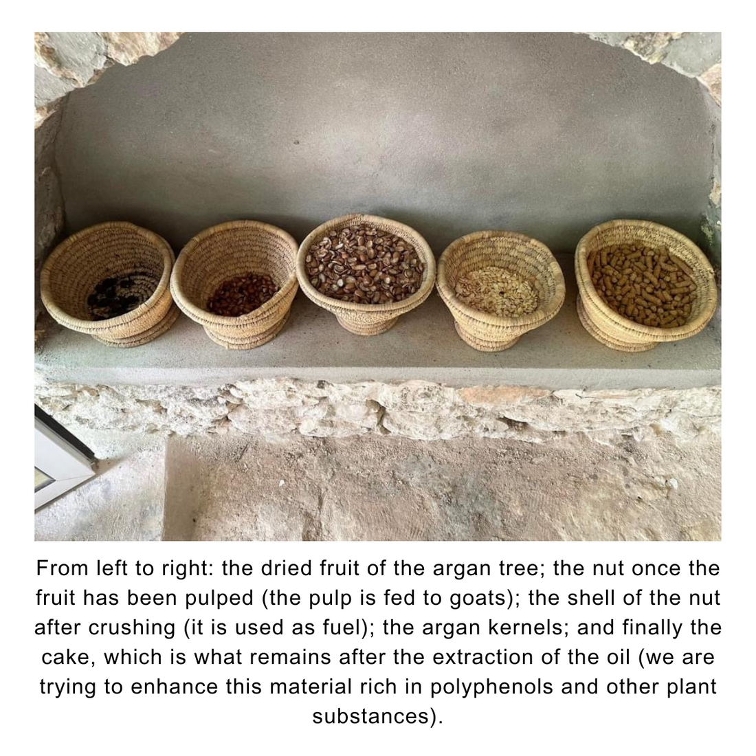 Organic Argan Oil