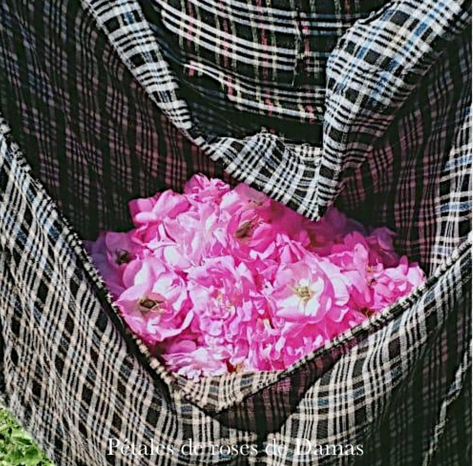 Huile essentielle - Rose