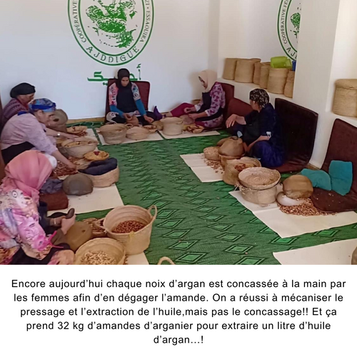 Huile d'argan alimentaire biologique