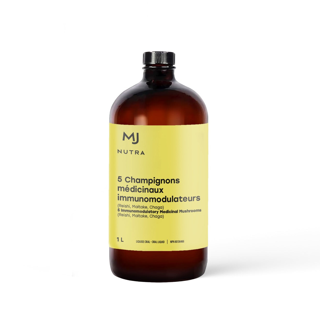 5 Champignons médicinaux immunomodulateurs