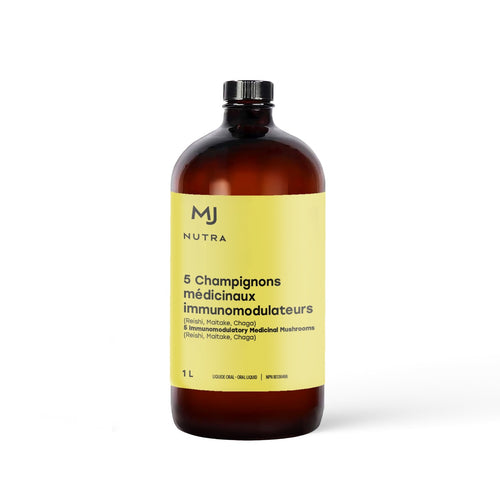 5 Champignons médicinaux immunomodulateurs