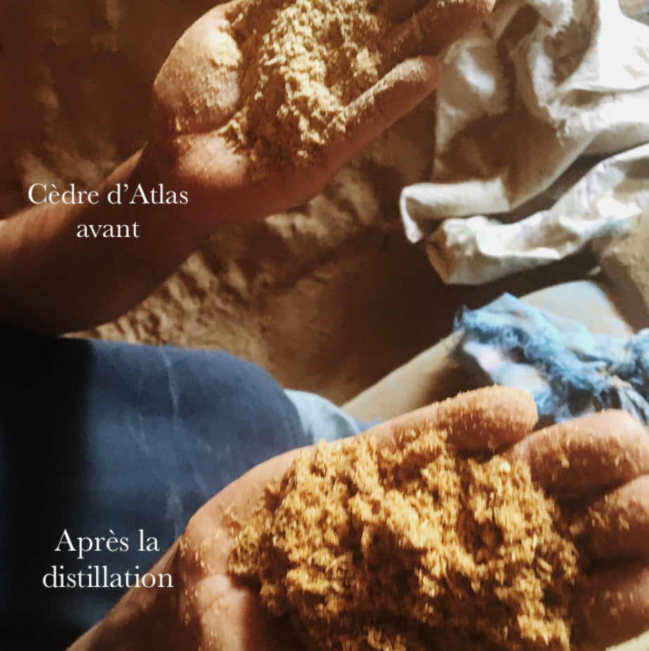 Huile essentielle - Cèdre d'atlas