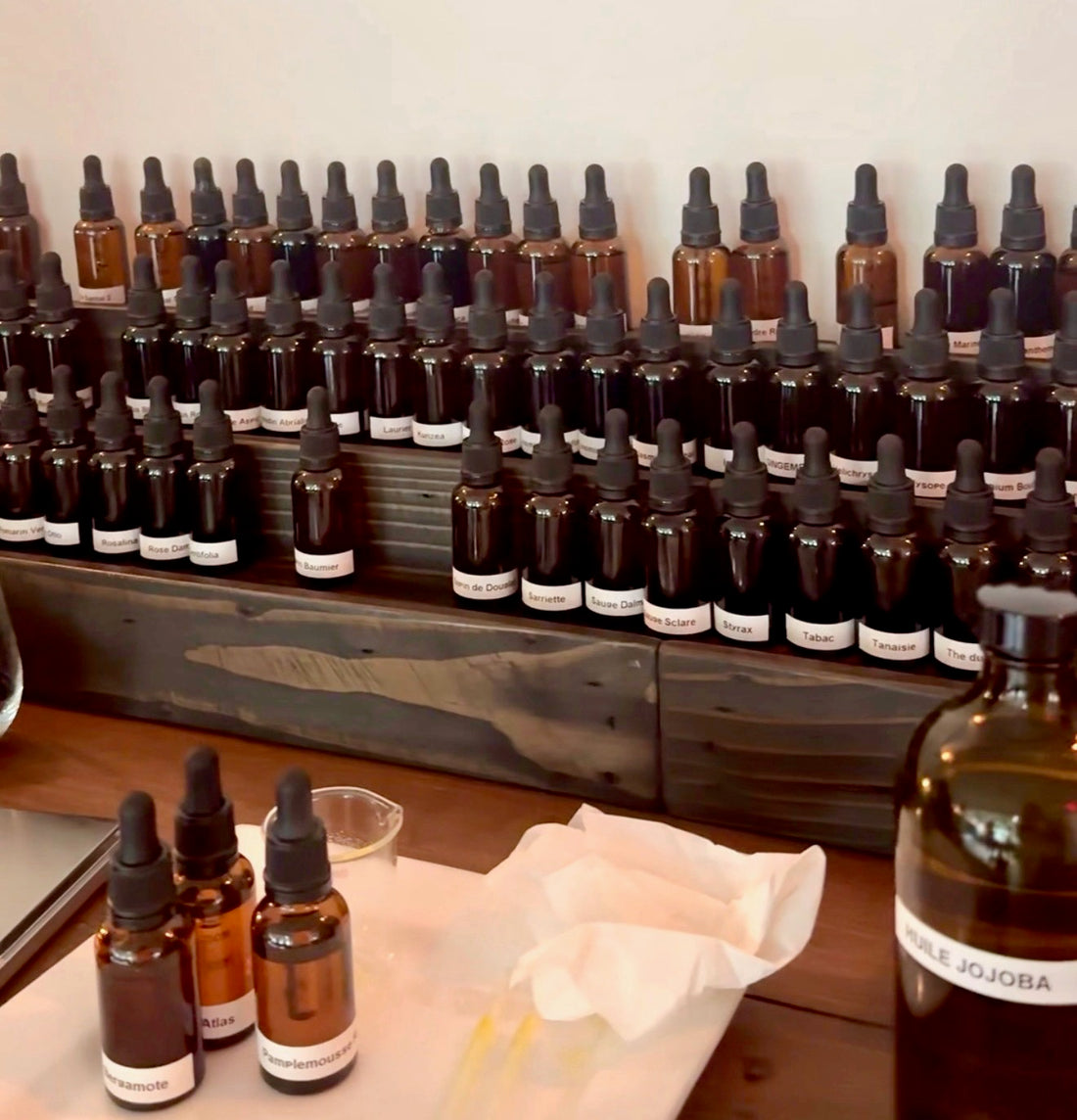 Éveil aux Essences – Atelier Parent-Enfant