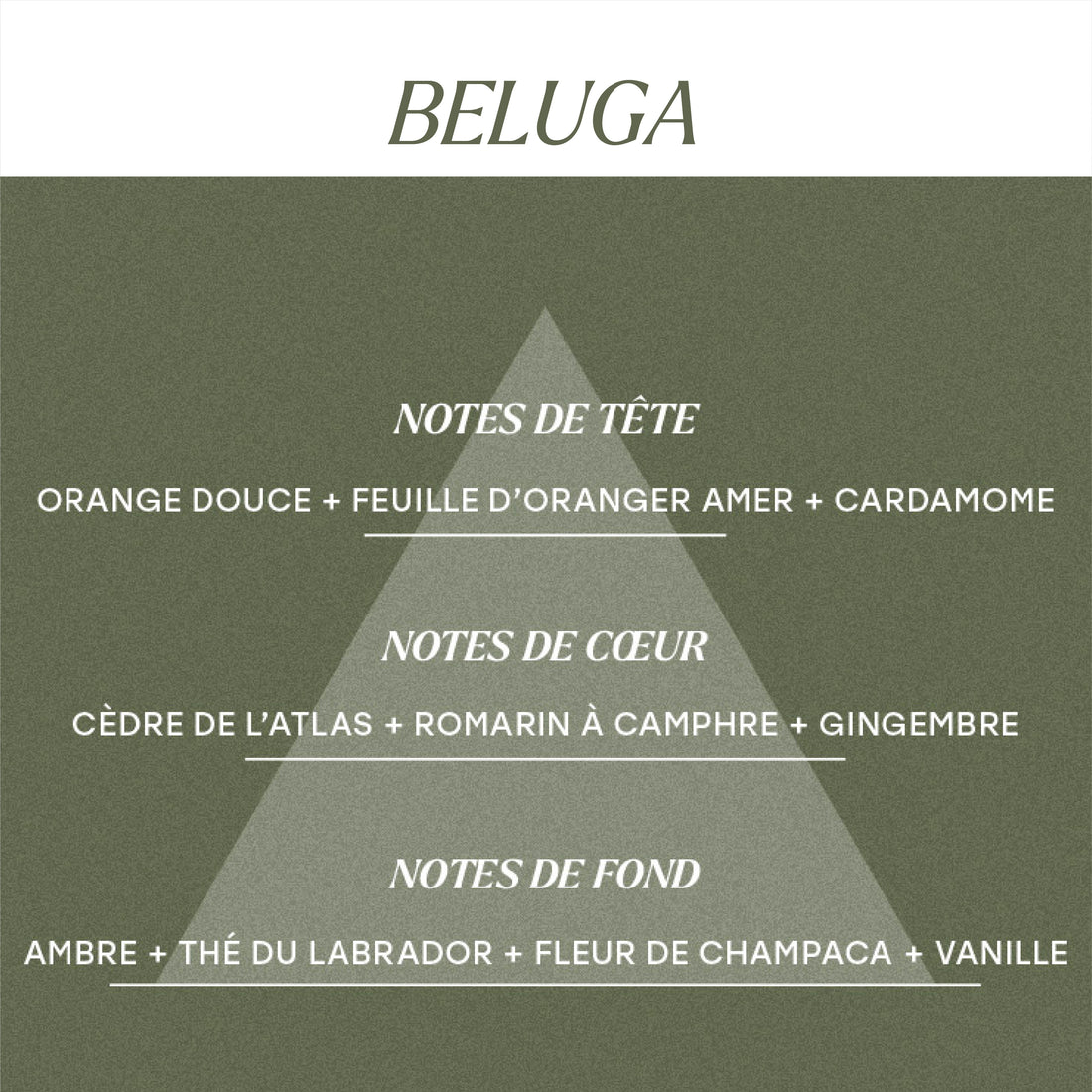 Béluga - Parfum d'ambiance