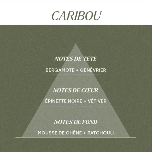 Caribou - Parfum d'ambiance