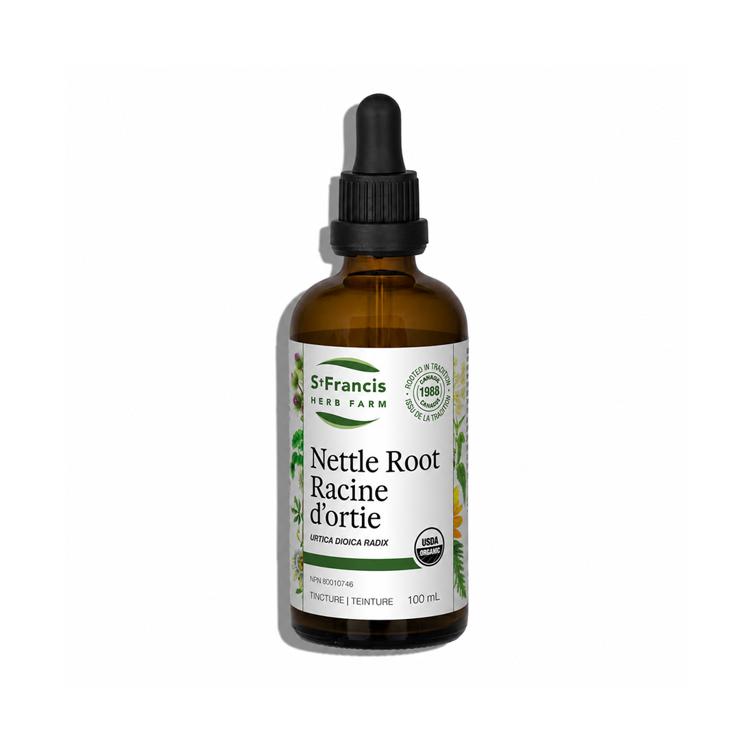 Nettle root