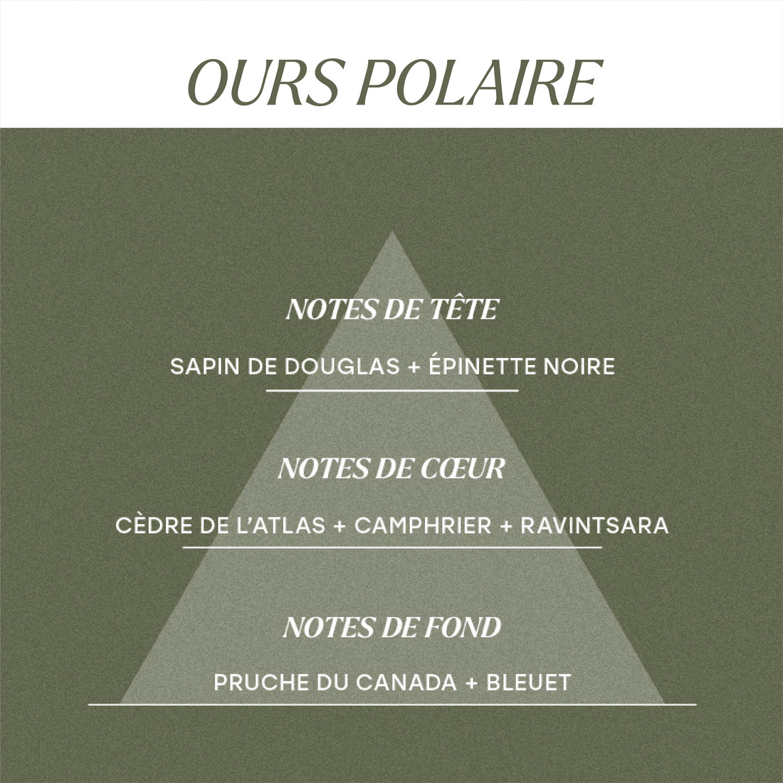 Ours polaire - Parfum d'ambiance