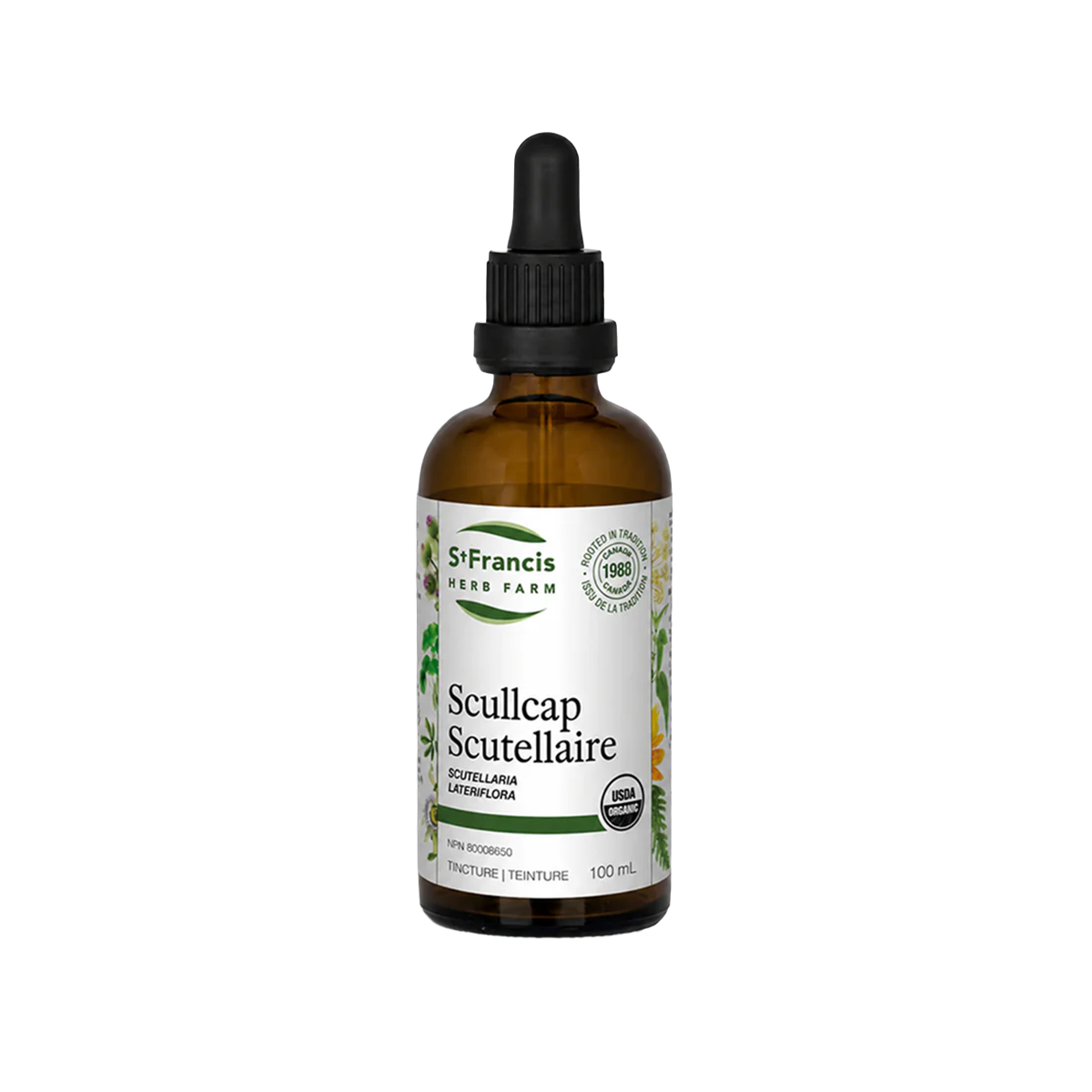 Scutellaire