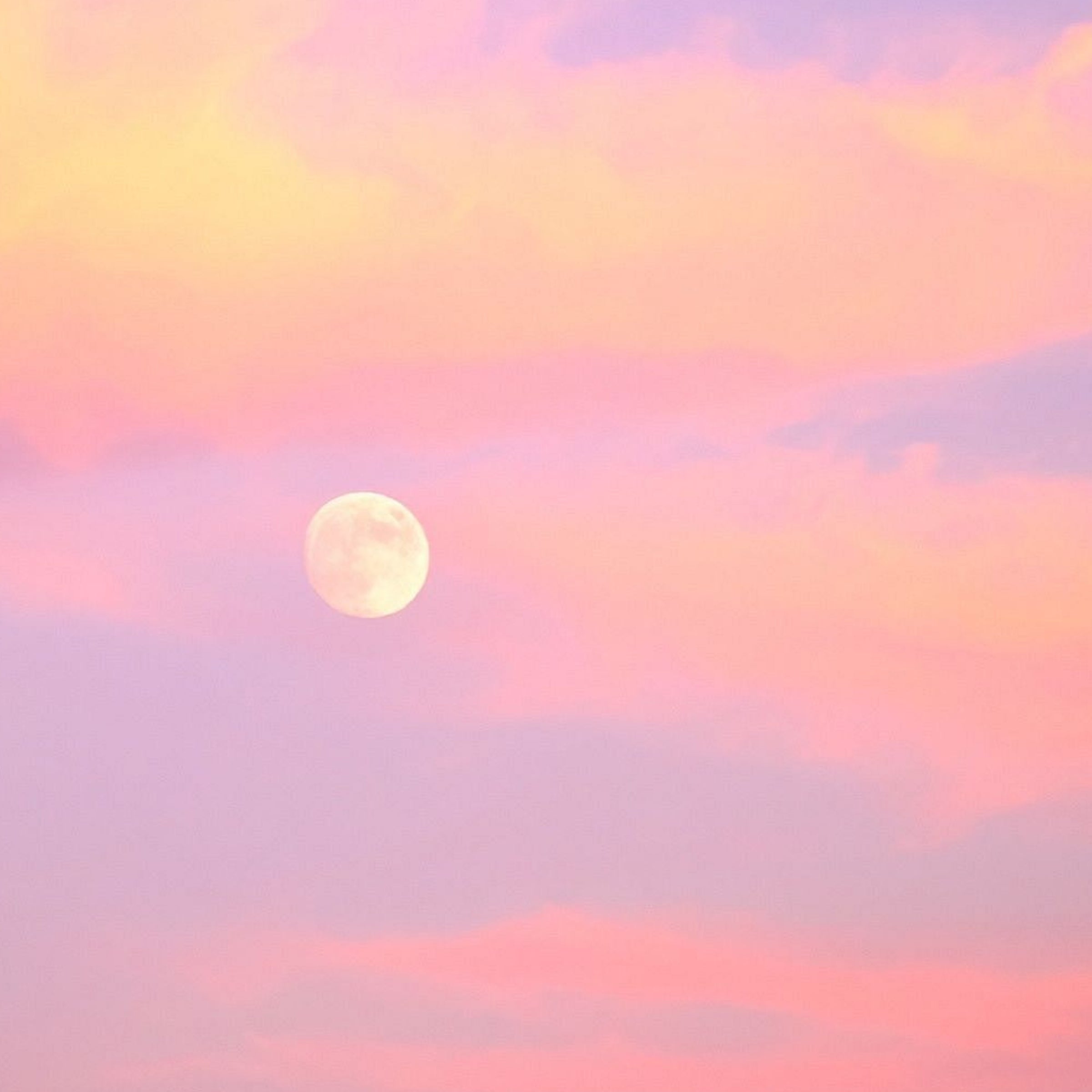 lancement pink moon événement Maison jacynthe