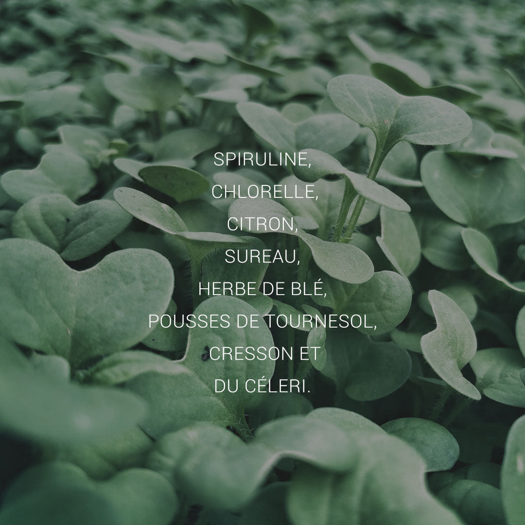 Le Complet - Green Juice Powder