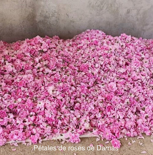 Huile essentielle - Rose