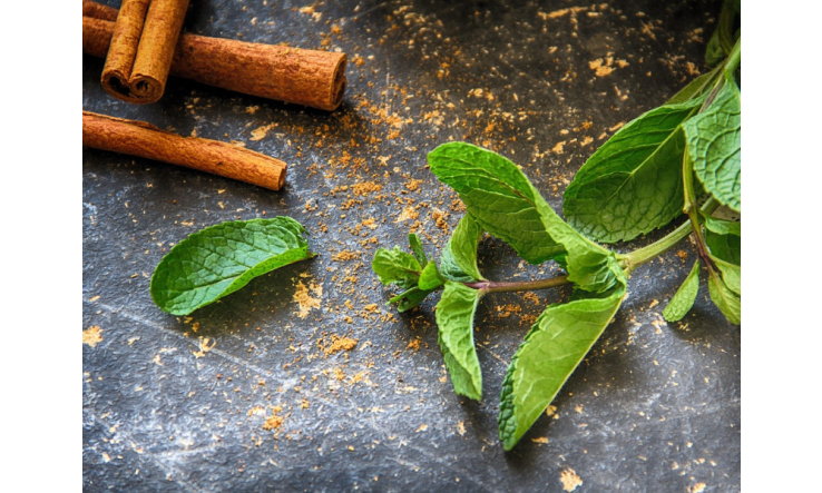 Cannelle et menthe