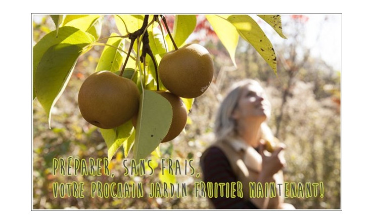 Préparer, sans frais, votre prochain jardin fruitier maintenant!