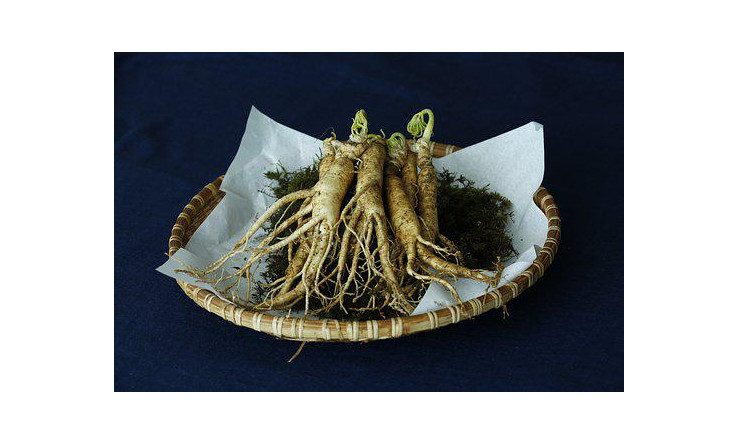 Ginseng - une racine antiâge?