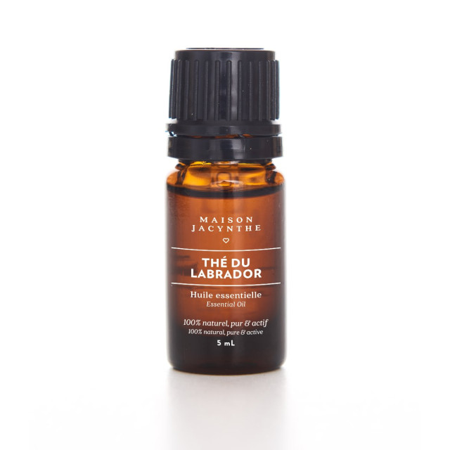 Huile essentielle - Thé du labrador - 100 % naturel & pur | Maison Jacynthe