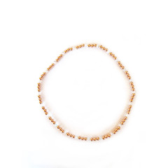 Sparkling - Rose gold ankle Bracelet 