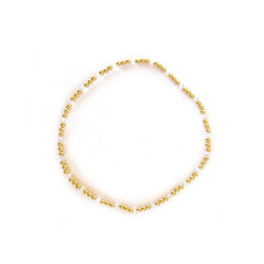 Sparkling - Gold ankle Bracelet 