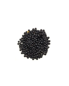 Lentilles noires Béluga Bio - 500 g