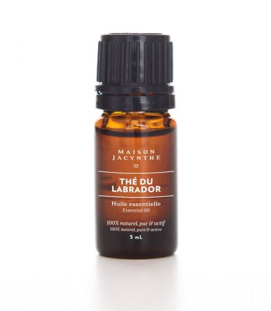 Essential oil - Thé du Labrador